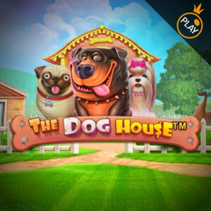 Vignette du jeu The Dog House de Pragmatic Play